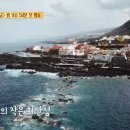 윤식당 이미지