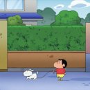 반려동물관리사과정 이미지