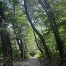 도련주공아파트경로당 | 성남 은행주공아파트 재건축 근황｜관리처분인가 후 이주, 지금 분위기는?