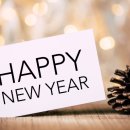 써니지니 이미지