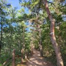 영양군 공설운동장 이미지