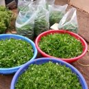 수경농장 이미지