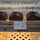 더정감필링스카페