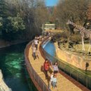 에버랜드 이미지