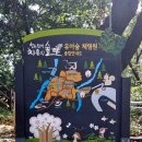 창원 편백치유의숲 유아숲체험원 이미지
