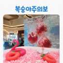 토핑주의보 | [일상] 타임빌라스 수원 복숭아주의보 팝업 방문후기