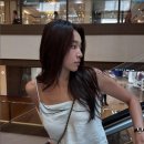 다이아수