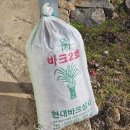 미송면집 | 원예상토 추천 미송원예마켓 바크 후기