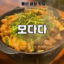 모다다 | 울산 공업탑 한우 곱창 맛집 모다다 내돈내산 후기