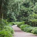 나주광주요양병원 이미지