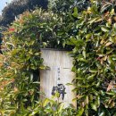 카바소프트(주) | 시즈오카 스미야키우나기 &#39;슌&#39;(炭焼き鰻 瞬) - 민물장어의 꿈