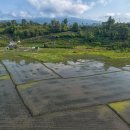 호근동-8 이미지