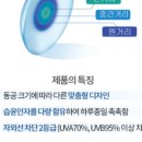 포인트 아이 안경 . 콘택트 이미지
