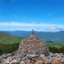 자명농장 | 대학원 입시, 그건 산을 오르는 일이었습니다.