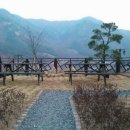 애플팸럭셔리풀빌라리조트