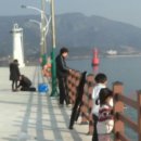 솔섬하우스 이미지