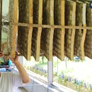 계봉농장 이미지