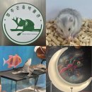 양주곤충박물관 | 양주곤충박물관 후기, 아기랑 즐기는 경기도 실내놀거리 추천