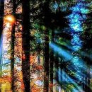 돈보따리 이미지