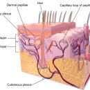통소프트 이미지