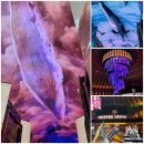 (주)고래타워 안산선진점 | 인천 영종도 인스파이어리조트 오로라 고래쇼 시간 위치