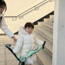 요하니신발