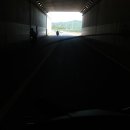 죽변항 이미지