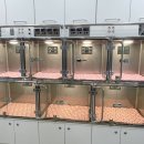 율하 다나동물병원 이미지