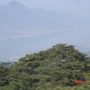 동산스포츠 이미지