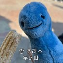 츄플러스 네이버블로그