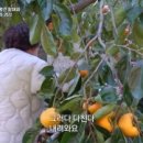 복연농장 이미지