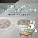 [인테리어] 청년크린 | 입주청소, 올인테리어청소 추천, 컬비