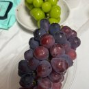 해찬농장 이미지