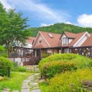 가평댕댕이애견펜션그린 이미지