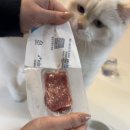 어 페일 블루닷 이미지