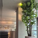 7222 | 스파두이 청담 방문기 관리부터 공간까지 정성이 느껴졌던 에스테틱 후기