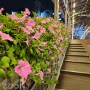 아이센스리그PC방 수원황골점 이미지