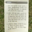무지외반증교정기 케어풋 교정기