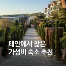 충남 태안 숙소 추천, 정원부터 무료와인바까지 있는 안면도 지중해아침펜션 후기