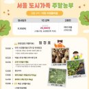 행복한 도시농부 | "서울 도시가족 주말농부" 도자기 만들기 체험, 대중교통이용 가격 후기, 아이와 함께 강추!