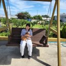 제주오름동물병원 이미지