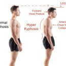 다이아몬드헬스 이미지