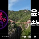 오쏘이