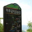 국립산림치유원 이미지