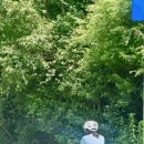 국토종주자전거길1-70 이미지