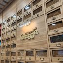 멍빨 | 쉴 틈 없는 직장인 일상 | 병원 다녀온 숙희 불금엔 치맥 동키치킨 우중산책 그리고 멍빨