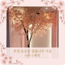 상업용 93 | 밋밋한 상가 인테리어 고민? 부천 호프집 인테리어조화 벚꽃나무 시공 후기