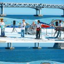 캐치더영 카카오 검색결과