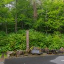 신사2-003 이미지