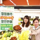 대관령절임배추